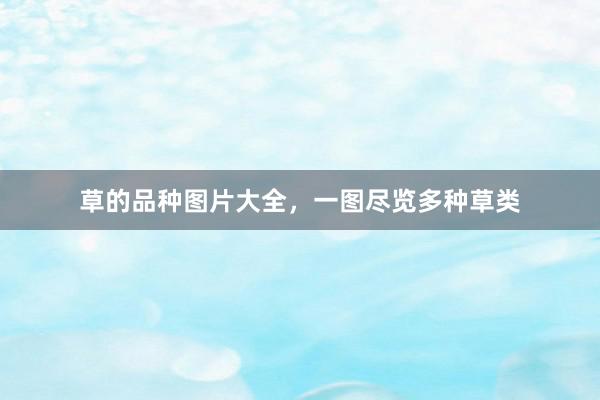 草的品种图片大全，一图尽览多种草类