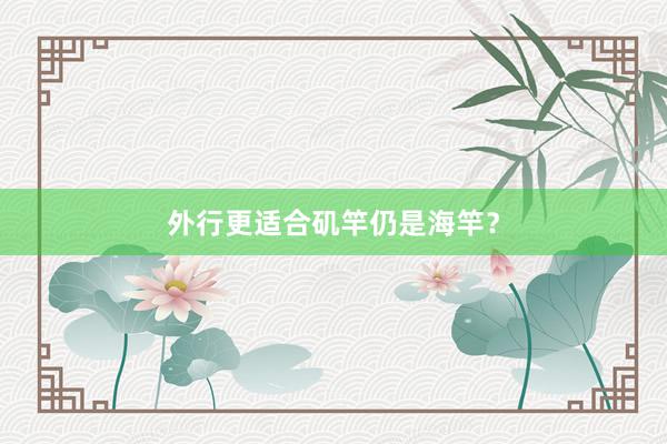 外行更适合矶竿仍是海竿？