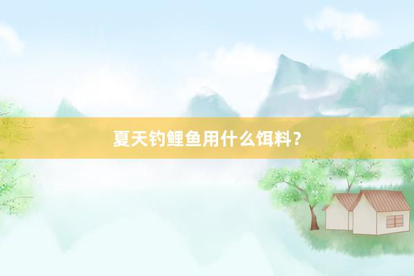 夏天钓鲤鱼用什么饵料？